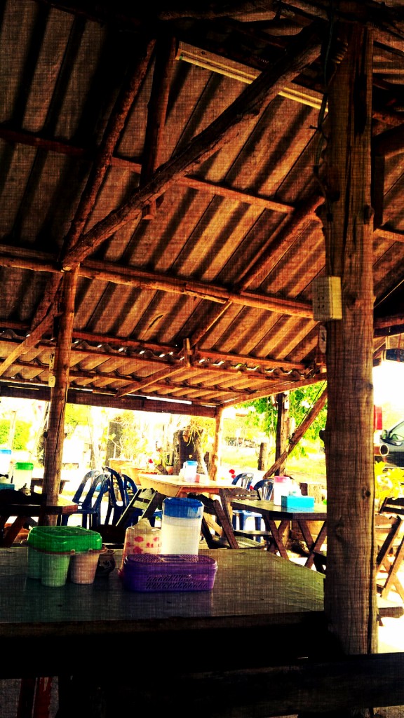 Pillars made from petrified tree trunks held an old roof. Scattered chairs, a comfort, away from the sunshine.